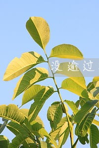 没逾过期打电话说我逾期 没逾过期打电话说我逾期