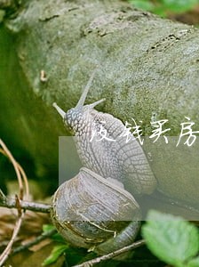 没钱买房怎么写离婚协议 没钱买房怎么写离婚协议