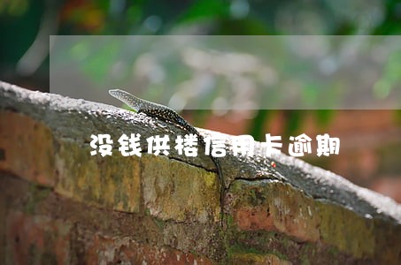 没钱供楼信用卡逾期 没钱供楼信用卡逾期