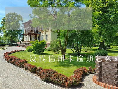 没钱信用卡逾期怎么办 没钱信用卡逾期怎么办