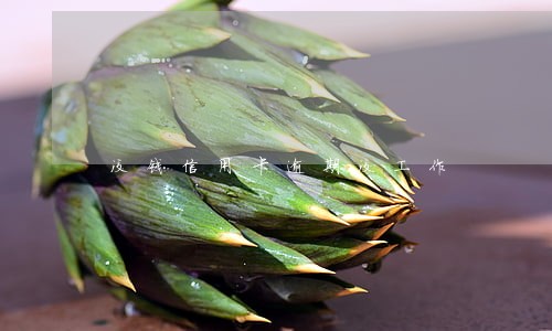没钱信用卡逾期没工作