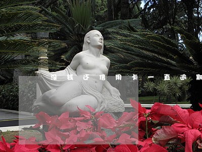 没钱还信用卡一直逾期 没钱还信用卡一直逾期
