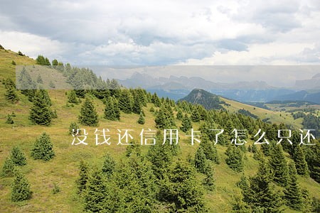 没钱还信用卡了怎么只还本金 没钱还信用卡了怎么只还本金