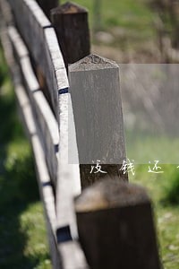 没钱还信用卡暂时还没逾期怎么办