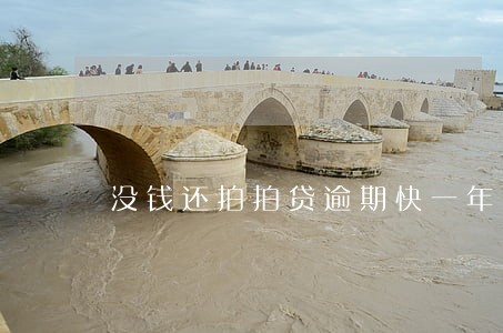 没钱还拍拍贷逾期快一年了会怎样 没钱还拍拍贷逾期快一年了会怎样