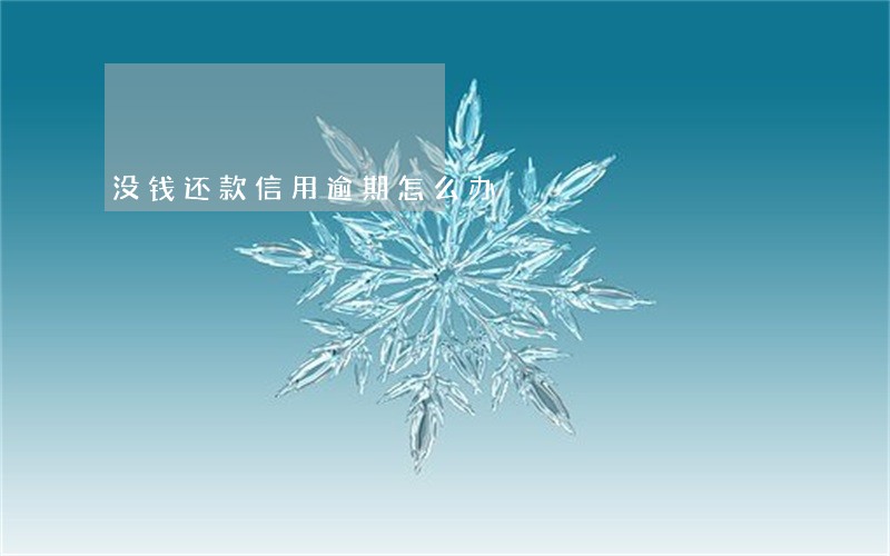 没钱还款信用逾期怎么办