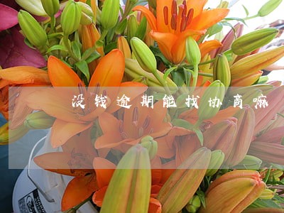 没钱逾期能找协商嘛 没钱逾期能找协商嘛