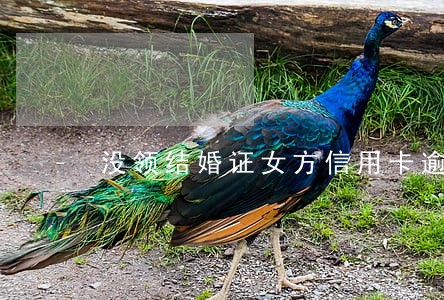 没领结婚证女方信用卡逾期 没领结婚证女方信用卡逾期