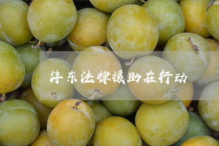 沣东法律援助在行动 沣东法律援助在行动