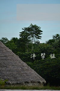 沣帮租赁逾期还能分期买车吗 沣帮租赁逾期还能分期买车吗