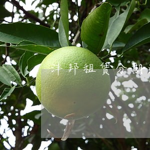 沣邦租赁分期逾期了 沣邦租赁分期逾期了
