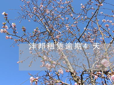 沣邦租赁逾期4天 沣邦租赁逾期4天