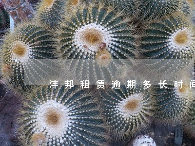 沣邦租赁逾期多长时间扣车 沣邦租赁逾期多长时间扣车