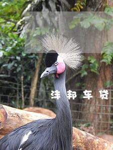 沣邦车贷逾期一个多月会怎样 沣邦车贷逾期一个多月会怎样