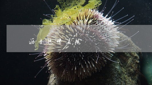 沥青热拌法规 沥青热拌法规