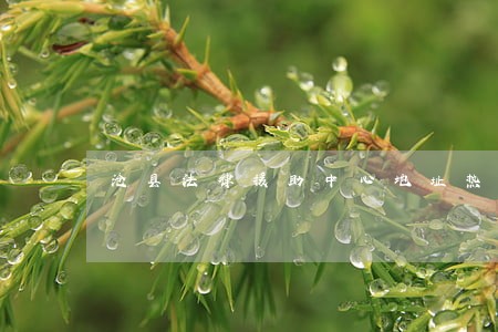 沧县法律援助中心地址热线电话 沧县法律援助中心地址热线电话