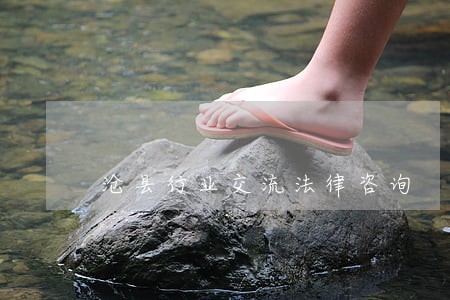 沧县行业交流法律咨询 沧县行业交流法律咨询