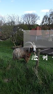 沧州信用卡逾期 沧州信用卡逾期