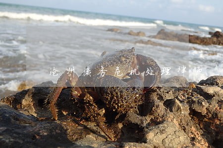 沧州债务危机处理律师 沧州债务危机处理律师