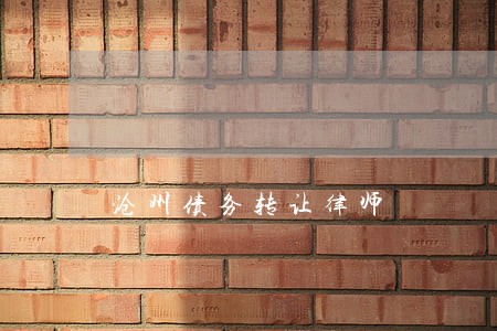 沧州债务转让律师 沧州债务转让律师