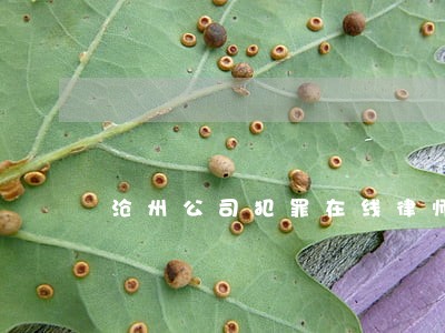 沧州公司犯罪在线律师 沧州公司犯罪在线律师