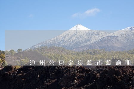 沧州公积金贷款还款逾期 沧州公积金贷款还款逾期