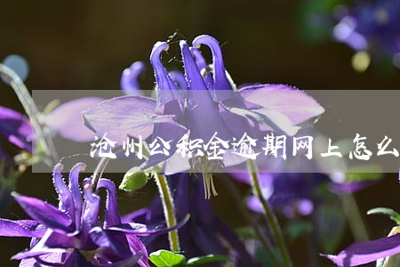 沧州公积金逾期网上怎么还款