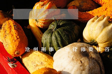 沧州刑事二审律师委托咨询