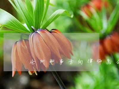 沧州刑事方向律师怎么委托 沧州刑事方向律师怎么委托