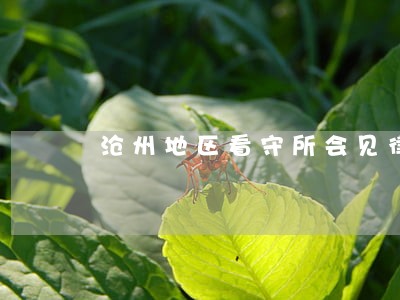 沧州地区看守所会见律师费用 沧州地区看守所会见律师费用