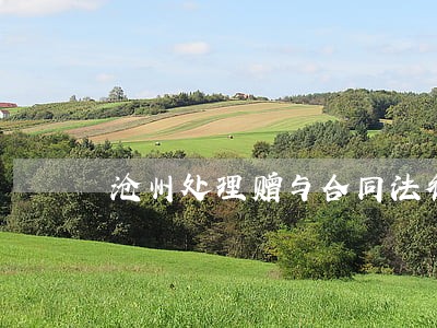 沧州处理赠与合同法律问题律师