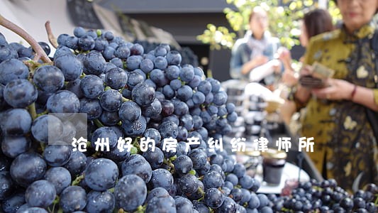 沧州好的房产纠纷律师所 沧州好的房产纠纷律师所