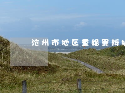 沧州市地区重婚罪辩护律师
