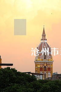 沧州市新华区违法建筑严管年