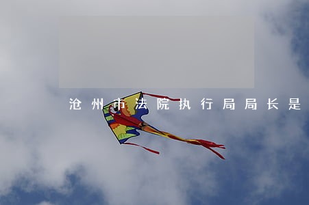 沧州市法院执行局局长是谁