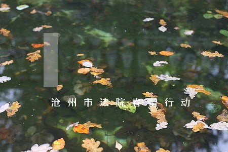 沧州市法院春雷行动