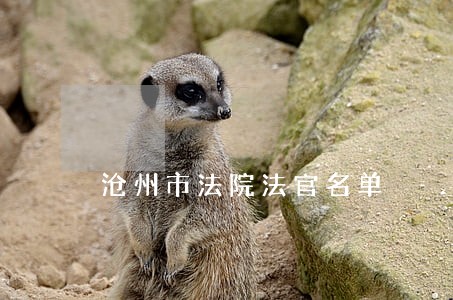 沧州市法院法官名单 沧州市法院法官名单