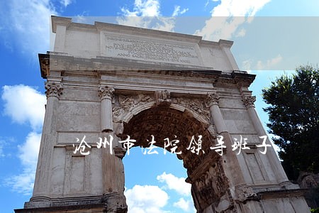 沧州市法院领导班子