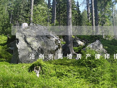 沧州市离婚房产律师排行