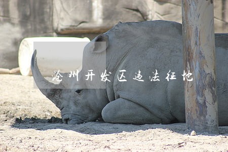 沧州开发区违法征地 沧州开发区违法征地