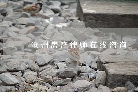 沧州房产律师在线咨询