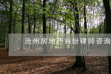 沧州房地产纠纷律师咨询 沧州房地产纠纷律师咨询