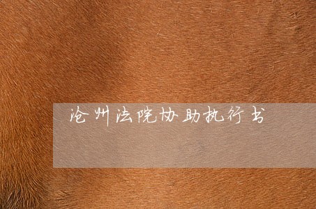 沧州法院协助执行书 沧州法院协助执行书