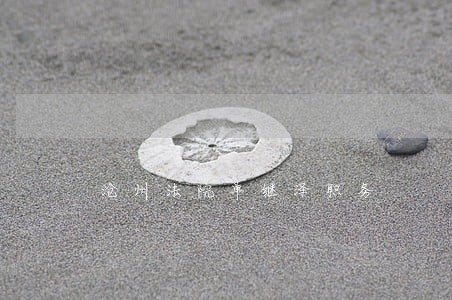 沧州法院单继泽职务