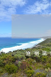 沧州法院王东浩 沧州法院王东浩