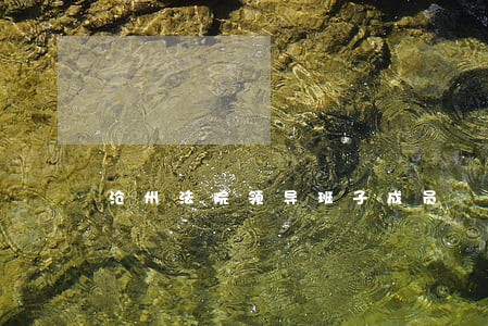 沧州法院领导班子成员