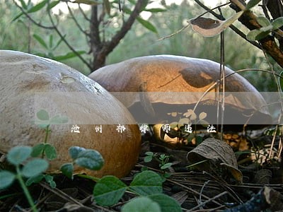 沧州祁律师违法