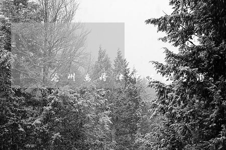 沧州离婚律师在线咨询 沧州离婚律师在线咨询