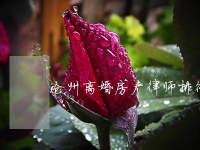 沧州离婚房产律师排行 沧州离婚房产律师排行