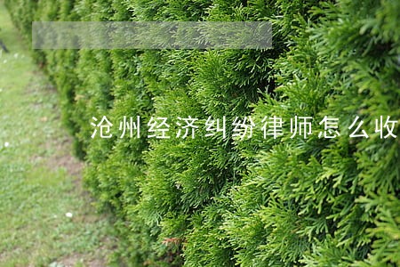 沧州经济纠纷律师怎么收费 沧州经济纠纷律师怎么收费